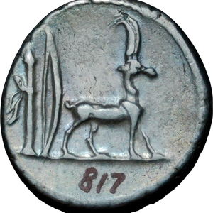 55 BC Roman Republican Cn. Plancius Silver Denarius